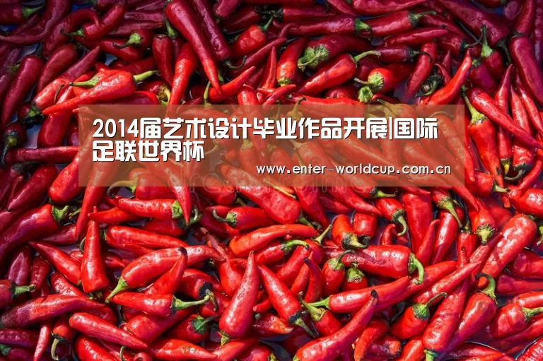 2014届艺术设计毕业作品开展|国际足联世界杯(图3) 国际足联世界杯