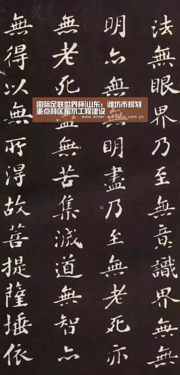 国际足联世界杯