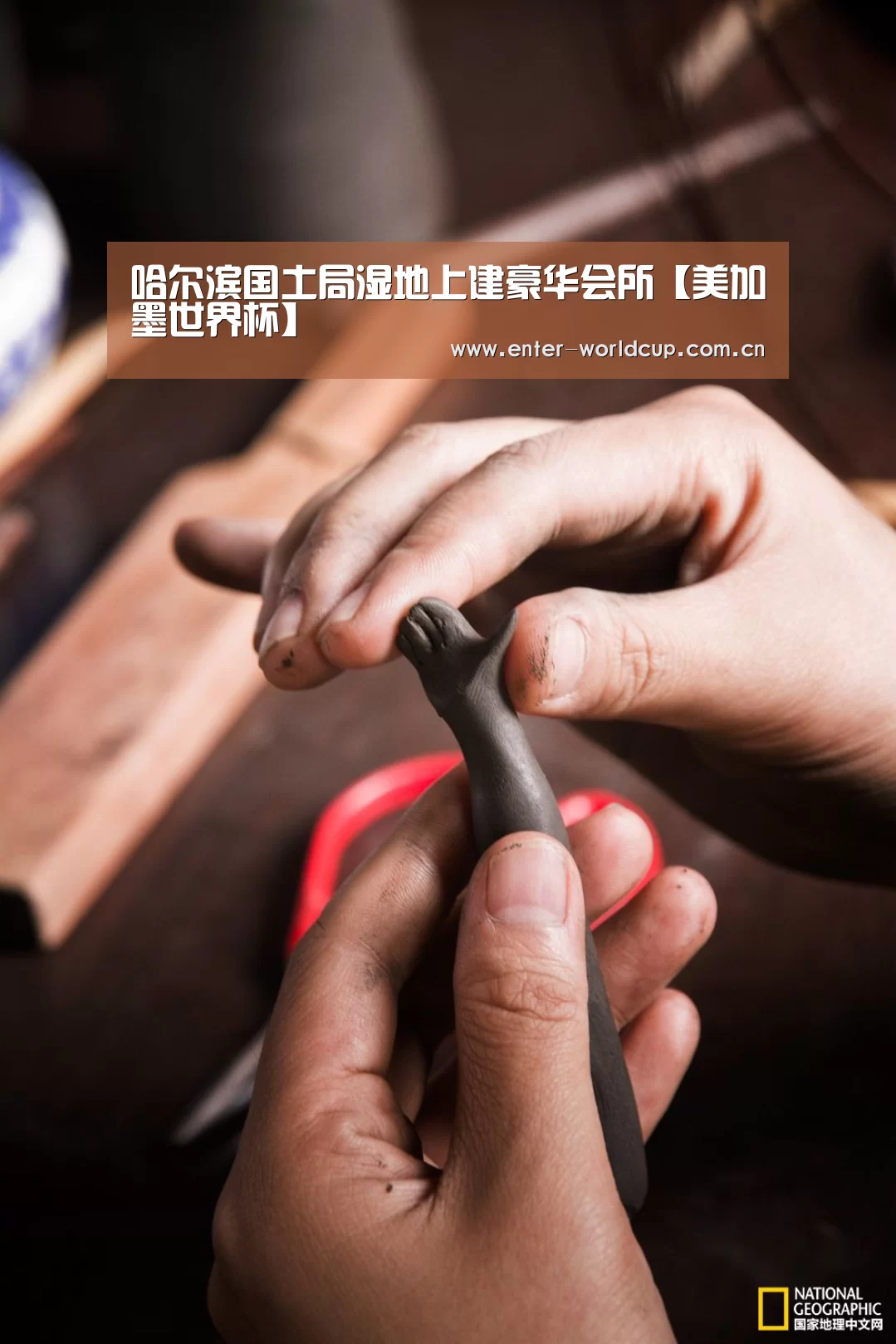 哈尔滨国土局湿地上建豪华会所【美加墨世界杯】(图1) 国际足联世界杯
