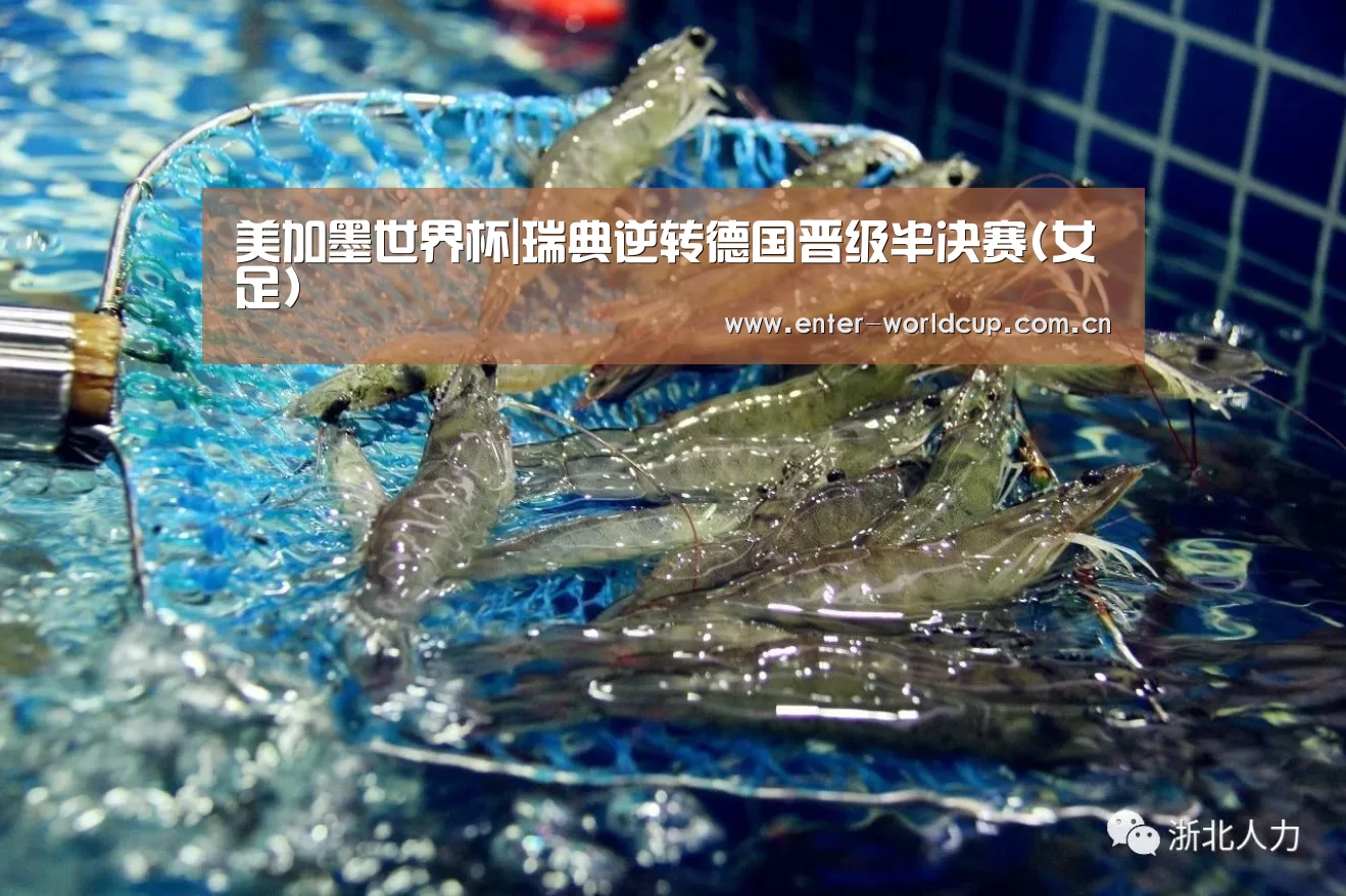 美加墨世界杯|瑞典逆转德国晋级半决赛(女足)