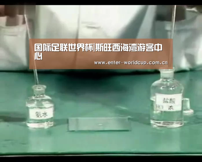 赛事新闻