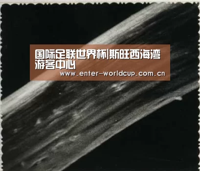 实时比分