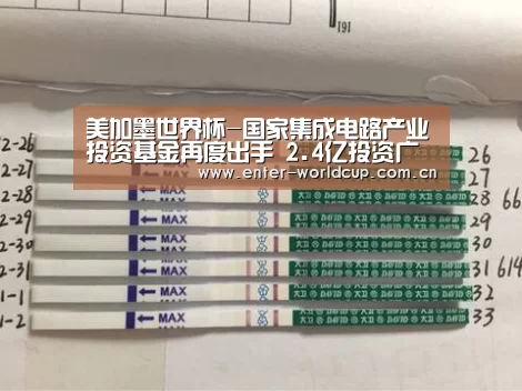 国际足联世界杯