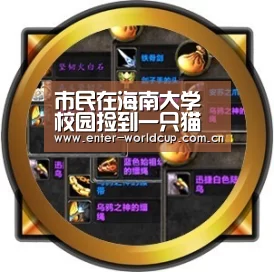 市民在海南大学校园捡到一只猫头鹰 林业部门指导放生“实时比分”(图1) 实时比分