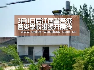 实时比分