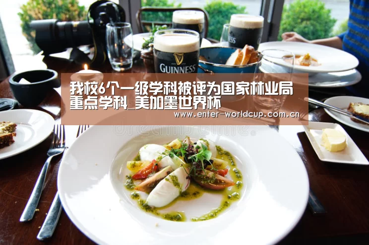 我校6个一级学科被评为国家林业局重点学科_美加墨世界杯(图1) 实时比分